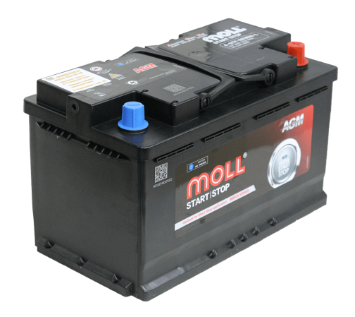 moll agm 80